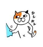 ねこのささみ2（個別スタンプ：21）