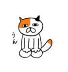 ねこのささみ2（個別スタンプ：34）