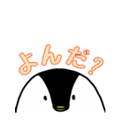 雪ペンギン（個別スタンプ：11）
