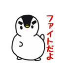 雪ペンギン（個別スタンプ：20）