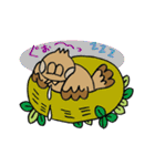 Sparrow Uncle（個別スタンプ：13）