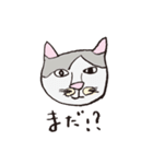 3匹のネコたち。（個別スタンプ：1）