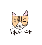 3匹のネコたち。（個別スタンプ：2）