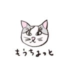 3匹のネコたち。（個別スタンプ：3）