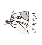 3匹のネコたち。（個別スタンプ：22）