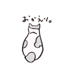 3匹のネコたち。（個別スタンプ：24）
