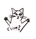 3匹のネコたち。（個別スタンプ：27）