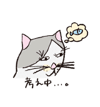 3匹のネコたち。（個別スタンプ：35）