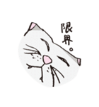 3匹のネコたち。（個別スタンプ：36）