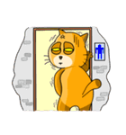 I am a funny cat！（個別スタンプ：7）