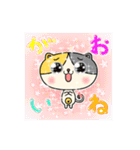 三毛猫コロたん（個別スタンプ：6）