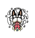 Space Dog（個別スタンプ：33）