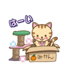 使いやすい猫スタンプ01（個別スタンプ：1）