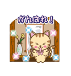 使いやすい猫スタンプ01（個別スタンプ：36）