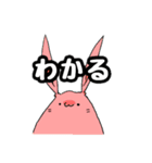 もちうさ＆ましゅまろ（個別スタンプ：1）