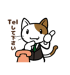 ビジネスねこさん（個別スタンプ：10）