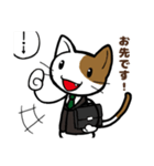 ビジネスねこさん（個別スタンプ：19）