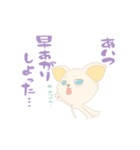 cute Kumamoto dialect sprout and sprout（個別スタンプ：6）