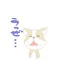 cute Kumamoto dialect sprout and sprout（個別スタンプ：11）