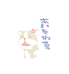 cute Kumamoto dialect sprout and sprout（個別スタンプ：13）