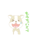 cute Kumamoto dialect sprout and sprout（個別スタンプ：15）