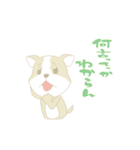 cute Kumamoto dialect sprout and sprout（個別スタンプ：17）