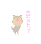 cute Kumamoto dialect sprout and sprout（個別スタンプ：25）