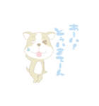 cute Kumamoto dialect sprout and sprout（個別スタンプ：30）