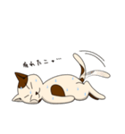 チェロ猫アントン（個別スタンプ：9）