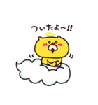 パンツネコの日常。（個別スタンプ：19）
