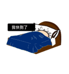 Fixed Kunbaz Gecko walking（個別スタンプ：10）