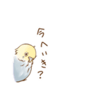 セキセイさんとウロコくん（個別スタンプ：19）