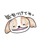 愛犬ナナ（個別スタンプ：5）