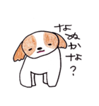 愛犬ナナ（個別スタンプ：15）