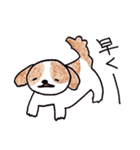 愛犬ナナ（個別スタンプ：17）