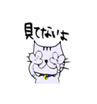 キジ猫のたくちゃん（個別スタンプ：5）