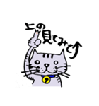 キジ猫のたくちゃん（個別スタンプ：6）