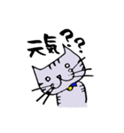 キジ猫のたくちゃん（個別スタンプ：7）
