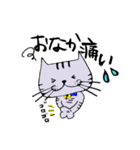 キジ猫のたくちゃん（個別スタンプ：24）