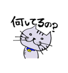 キジ猫のたくちゃん（個別スタンプ：25）