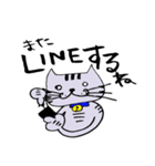 キジ猫のたくちゃん（個別スタンプ：28）