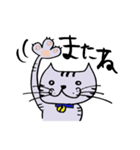 キジ猫のたくちゃん（個別スタンプ：36）