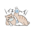 OGねこさん（個別スタンプ：3）