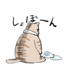 OGねこさん（個別スタンプ：11）