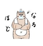 OGねこさん（個別スタンプ：38）