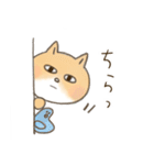 しばねこのミギョン（個別スタンプ：23）