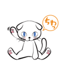 白猫シロ(基本挨拶編)（個別スタンプ：1）