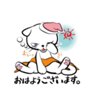 白猫シロ(基本挨拶編)（個別スタンプ：12）