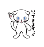 白猫シロ(基本挨拶編)（個別スタンプ：16）