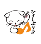 白猫シロ(基本挨拶編)（個別スタンプ：21）